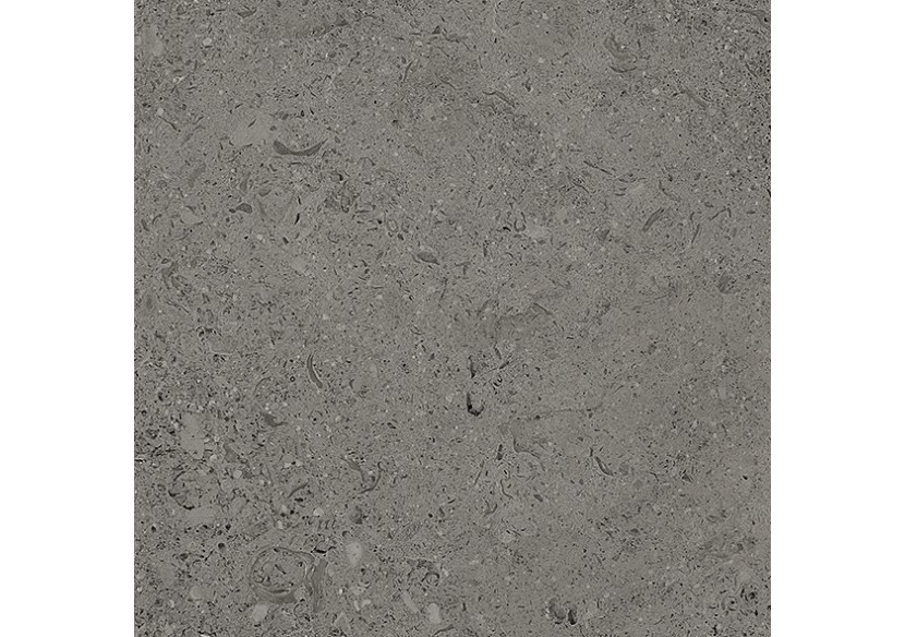 Shellstone 30x30 Anthracite - Carrelage intérieur en Grès Cérame émaillé (GS) Rectifié - SH3030DA