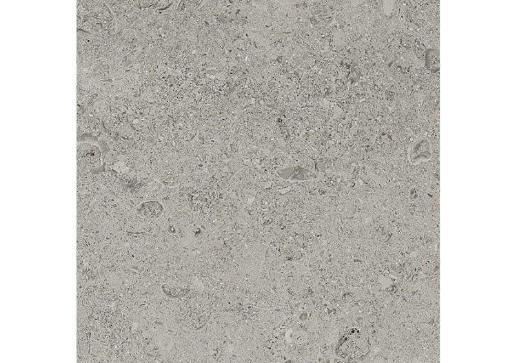 Shellstone 30x30 Gris - Carrelage intérieur en Grès Cérame émaillé (GS) Rectifié - SH3030GY