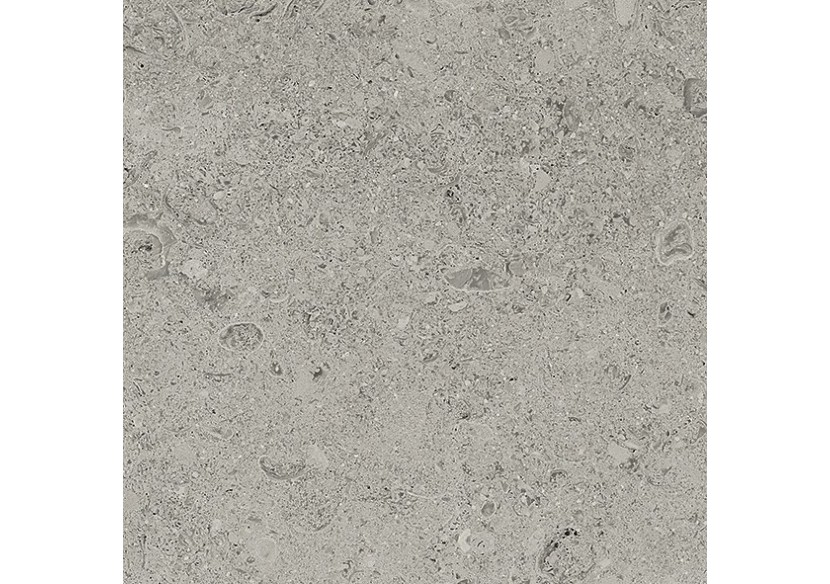 Shellstone 30x30 Gris - Carrelage intérieur en Grès Cérame émaillé (GS) Rectifié - SH3030GY