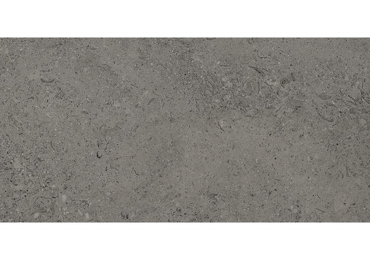 Shellstone 30x60 Anthracite...