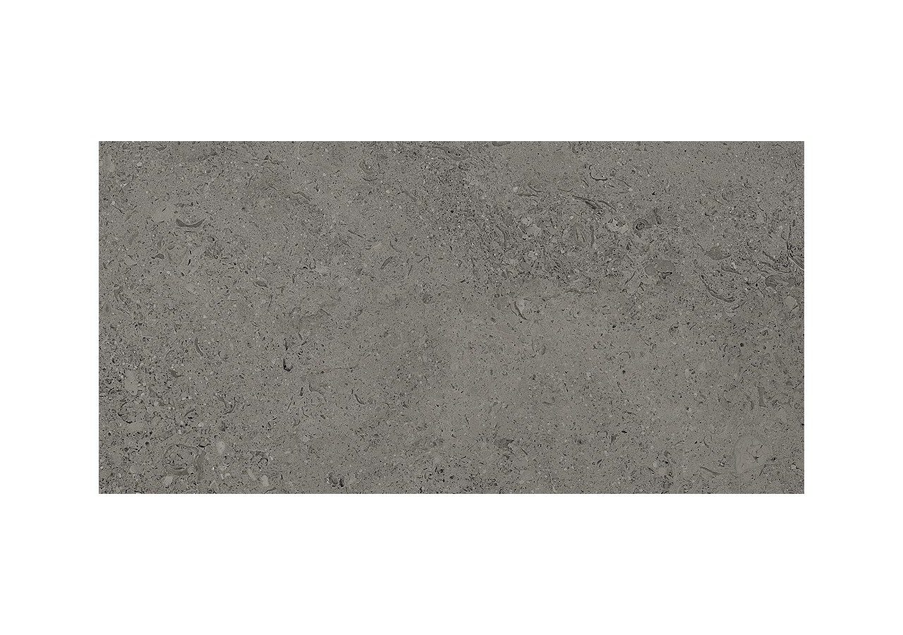 Shellstone 30x60 Anthracite - Carrelage intérieur en Grès Cérame émaillé (GS) Rectifié - SH3060DA