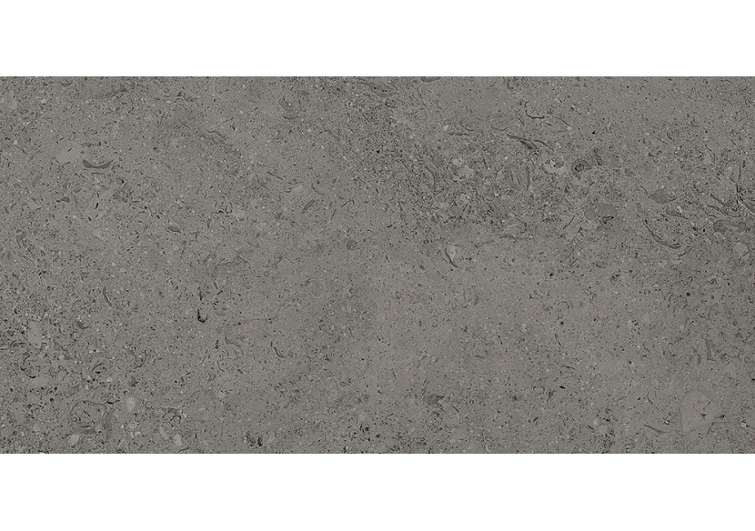 Shellstone 30x60 Anthracite - Carrelage intérieur en Grès Cérame émaillé (GS) Rectifié - SH3060DA