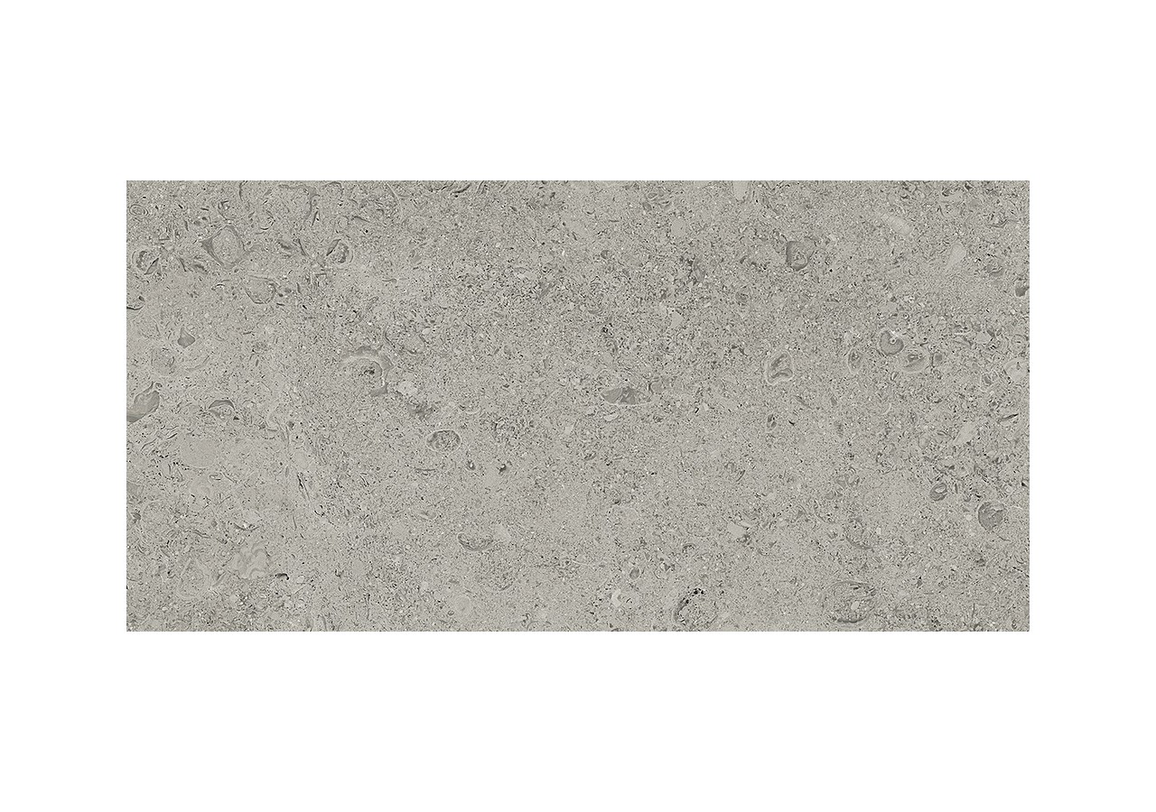 Shellstone 30x60 Gris - Carrelage intérieur et extérieur en Grès Cérame émaillé (GS) Rectifié GRIP - SH3060GYG