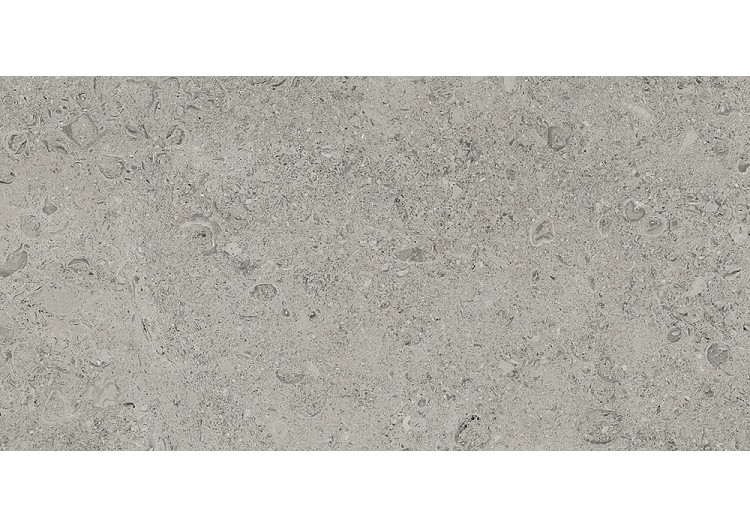 Shellstone 30x60 Gris - Carrelage intérieur en Grès Cérame émaillé (GS) Rectifié - SH3060GY