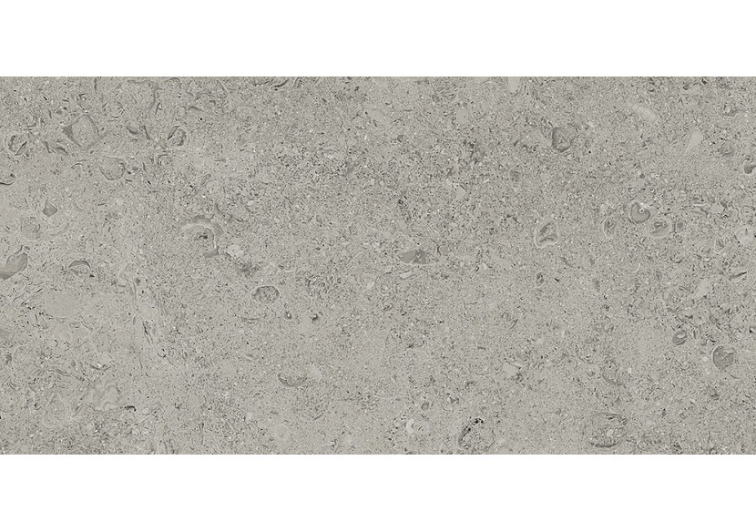 Shellstone 30x60 Gris - Carrelage intérieur en Grès Cérame émaillé (GS) Rectifié - SH3060GY