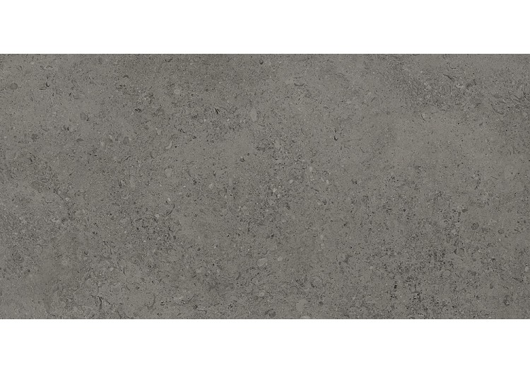 Shellstone 60x120...