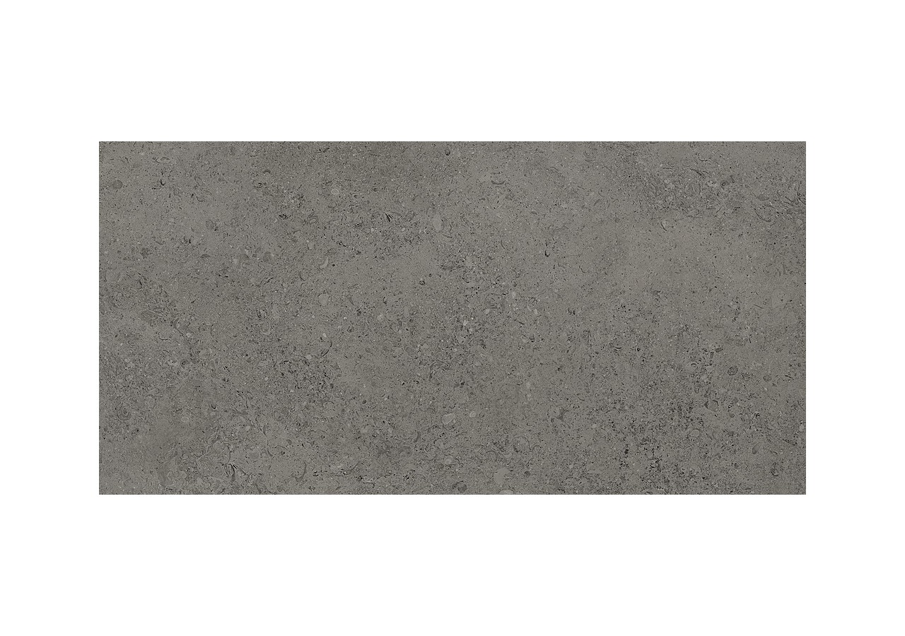 Shellstone 60x120 Anthracite - Carrelage intérieur en Grès Cérame émaillé (GS) Rectifié - SH60120DA