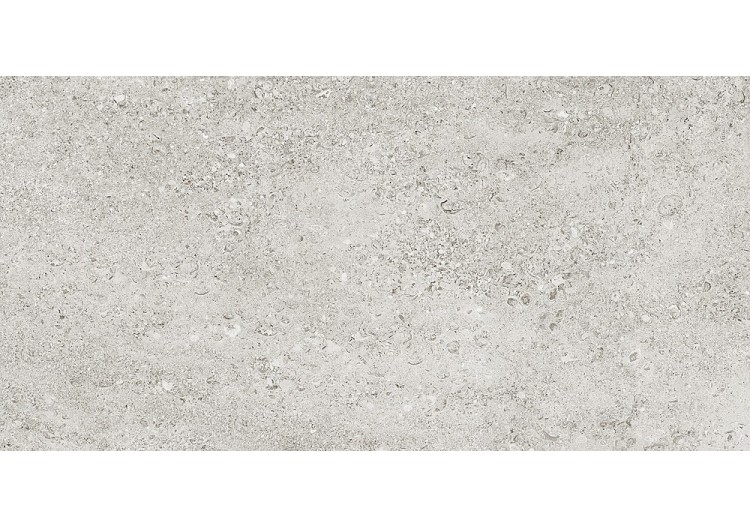 Shellstone 60x120 Blanc -...