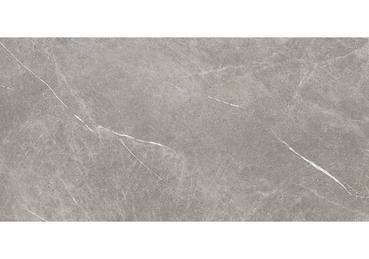 Star 60x120 Gris - Carrelage intérieur en Grès Cérame émaillé (GS) Rectifié - ST120GY