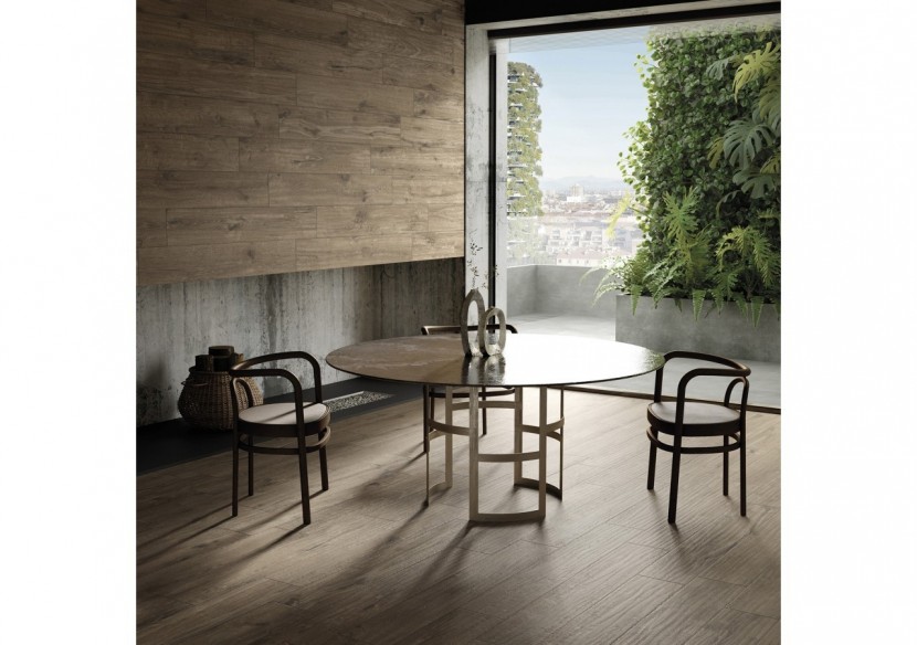 Tongass 20x120 Brun - Carrelage intérieur en Grès Cérame émaillé (GS) Rectifié - TON20BR