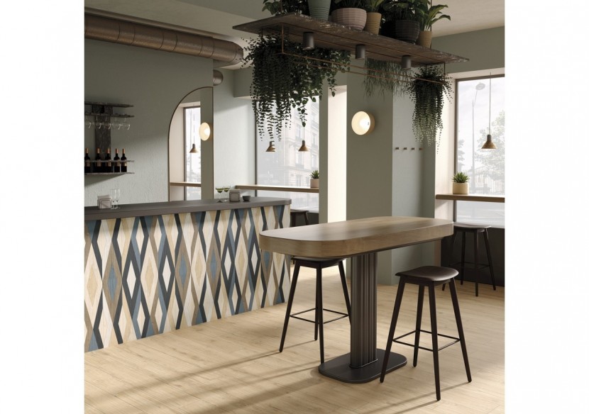 Tongass 20x120 Multicolore - Carrelage intérieur en Grès Cérame émaillé (GS) Rectifié - TON20DEC