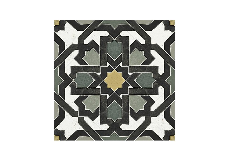 Vintage 20x20 Multicolore - Carrelage intérieur en Grès Cérame émaillé (GS) Naturel - VINDEC15