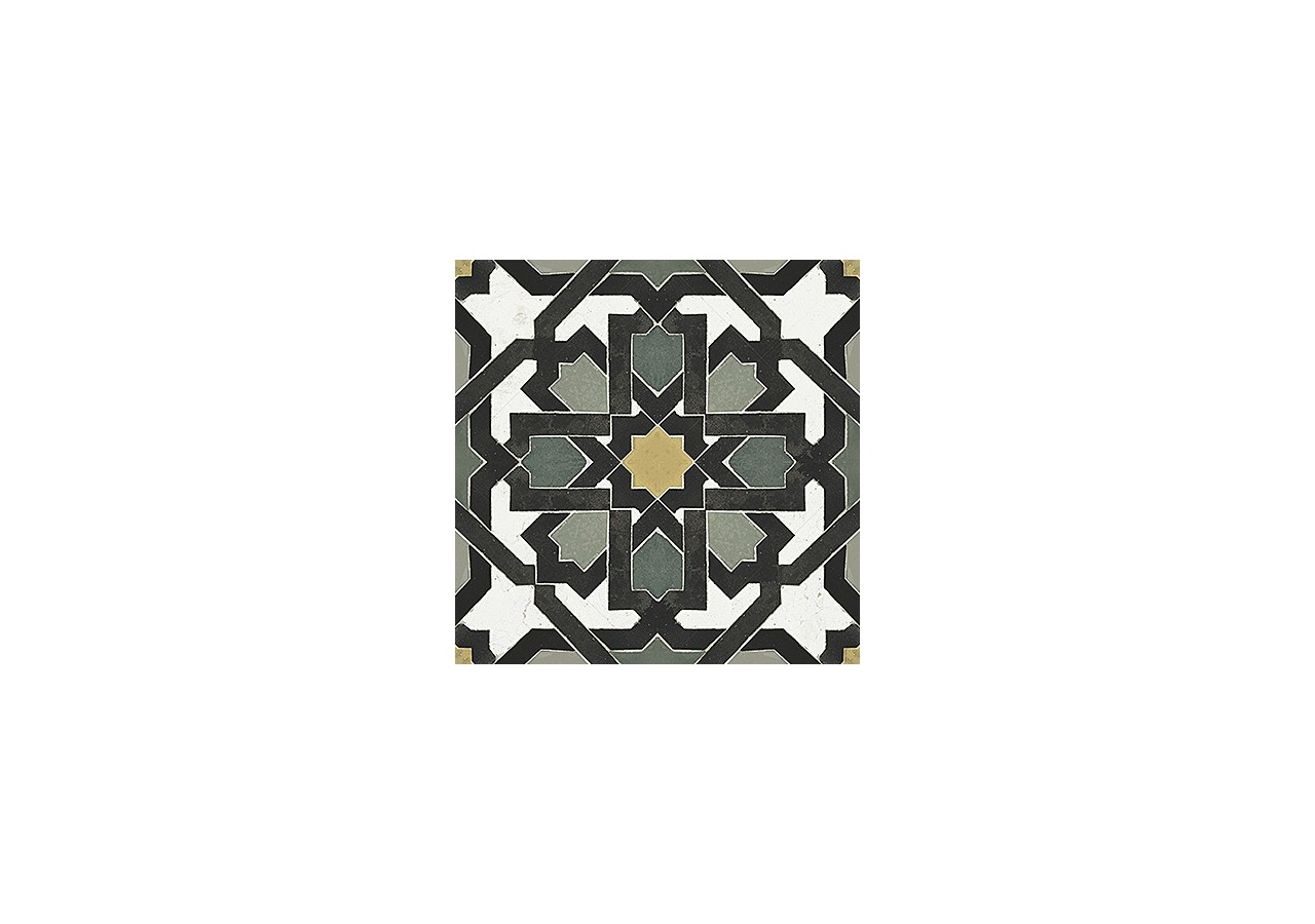 Vintage 20x20 Multicolore - Carrelage intérieur en Grès Cérame émaillé (GS) Naturel - VINDEC15