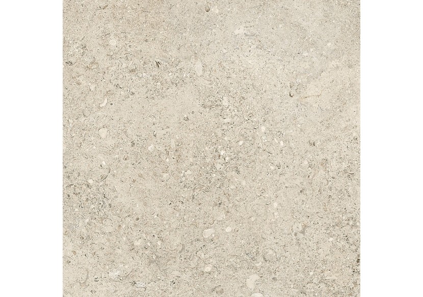 Shellstone 60x60 Ambre - Carrelage intérieur en Grès Cérame émaillé (GS) Rectifié - SH6060AM