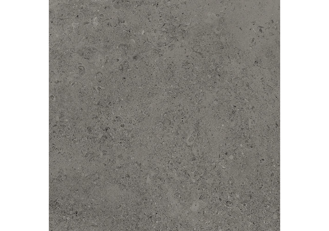 Shellstone 60x60 Anthracite - Carrelage intérieur et extérieur en Grès Cérame émaillé (GS) Rectifié GRIP - SH6060DAG