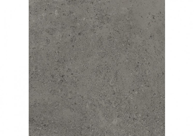Shellstone 60x60 Anthracite - Carrelage intérieur en Grès Cérame émaillé (GS) Rectifié - SH6060DA