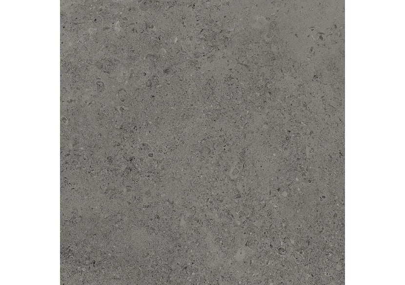 Shellstone 60x60 Anthracite - Carrelage intérieur en Grès Cérame émaillé (GS) Rectifié - SH6060DA