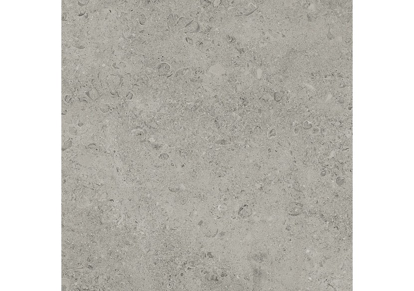 Shellstone 60x60 Gris - Carrelage intérieur et extérieur en Grès Cérame émaillé (GS) Rectifié GRIP - SH6060GYG