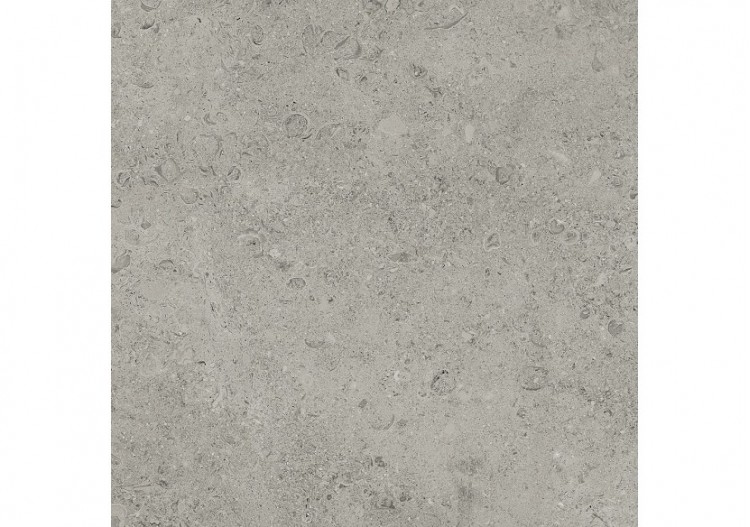 Shellstone 60x60 Gris - Carrelage intérieur en Grès Cérame émaillé (GS) Rectifié - SH6060GY