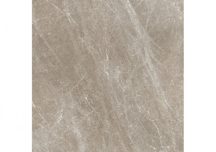 Star 60x60 Greige - Carrelage intérieur en Grès Cérame émaillé (GS) Rectifié - ST60GGRG