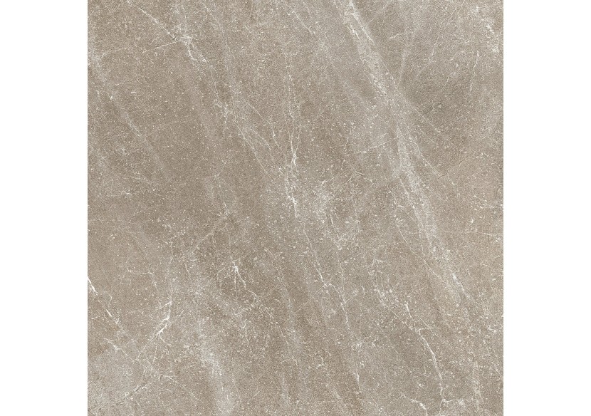 Star 60x60 Greige - Carrelage intérieur en Grès Cérame émaillé (GS) Rectifié - ST60GGRG