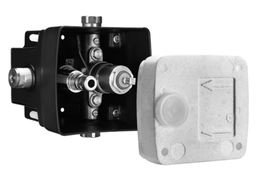 Masterbox à encastrer WBW-E-M - 019460099 - Schell