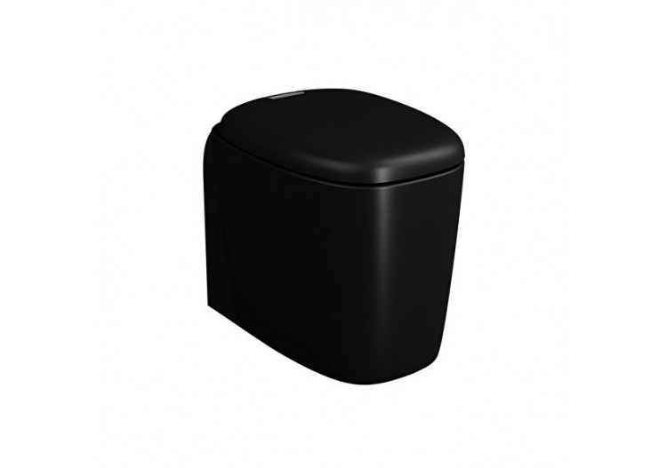Plural WC BTW sans bride, 55 cm, VC, noir mat - 7815B483-0075 - Vitra