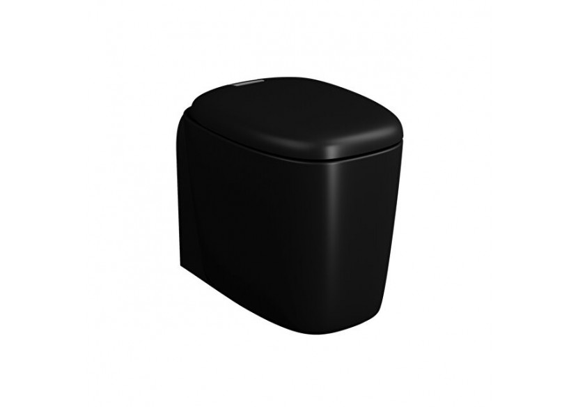 Plural WC BTW sans bride, 55 cm, VC, noir mat - 7815B483-0075 - Vitra