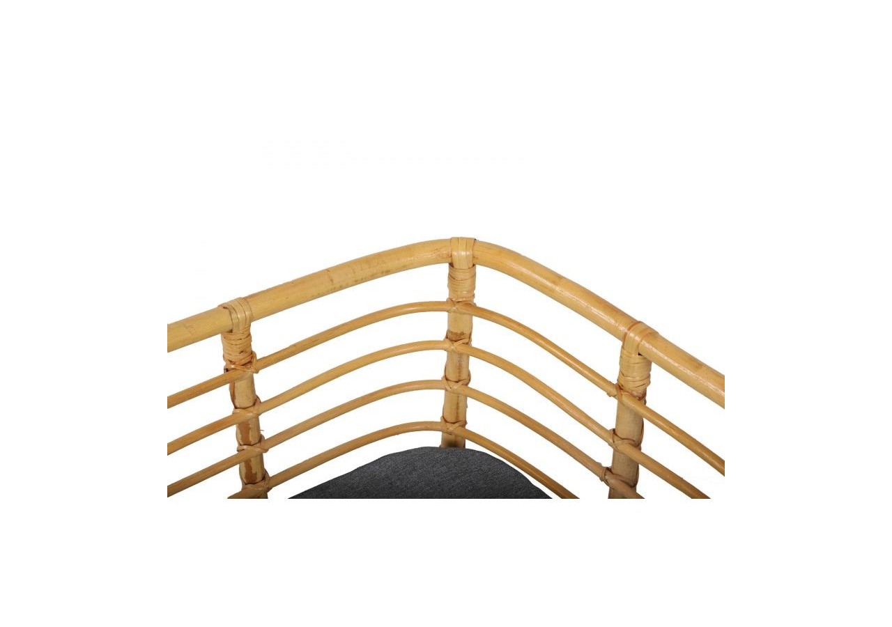 Panier rectangulaire SELENE pour chien et chat en rotin coussin coloris gris