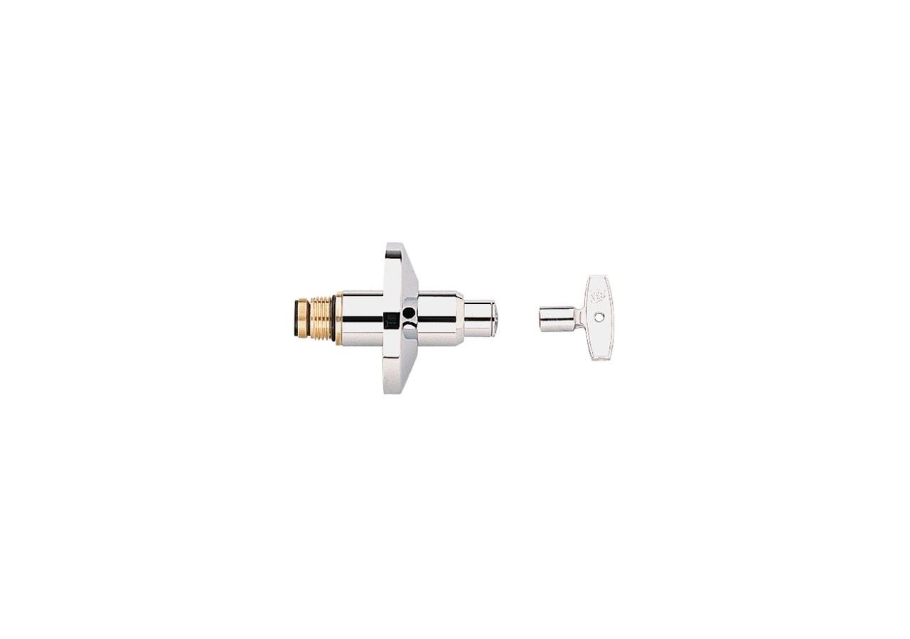 Tete encastree - 11550000 - Grohe