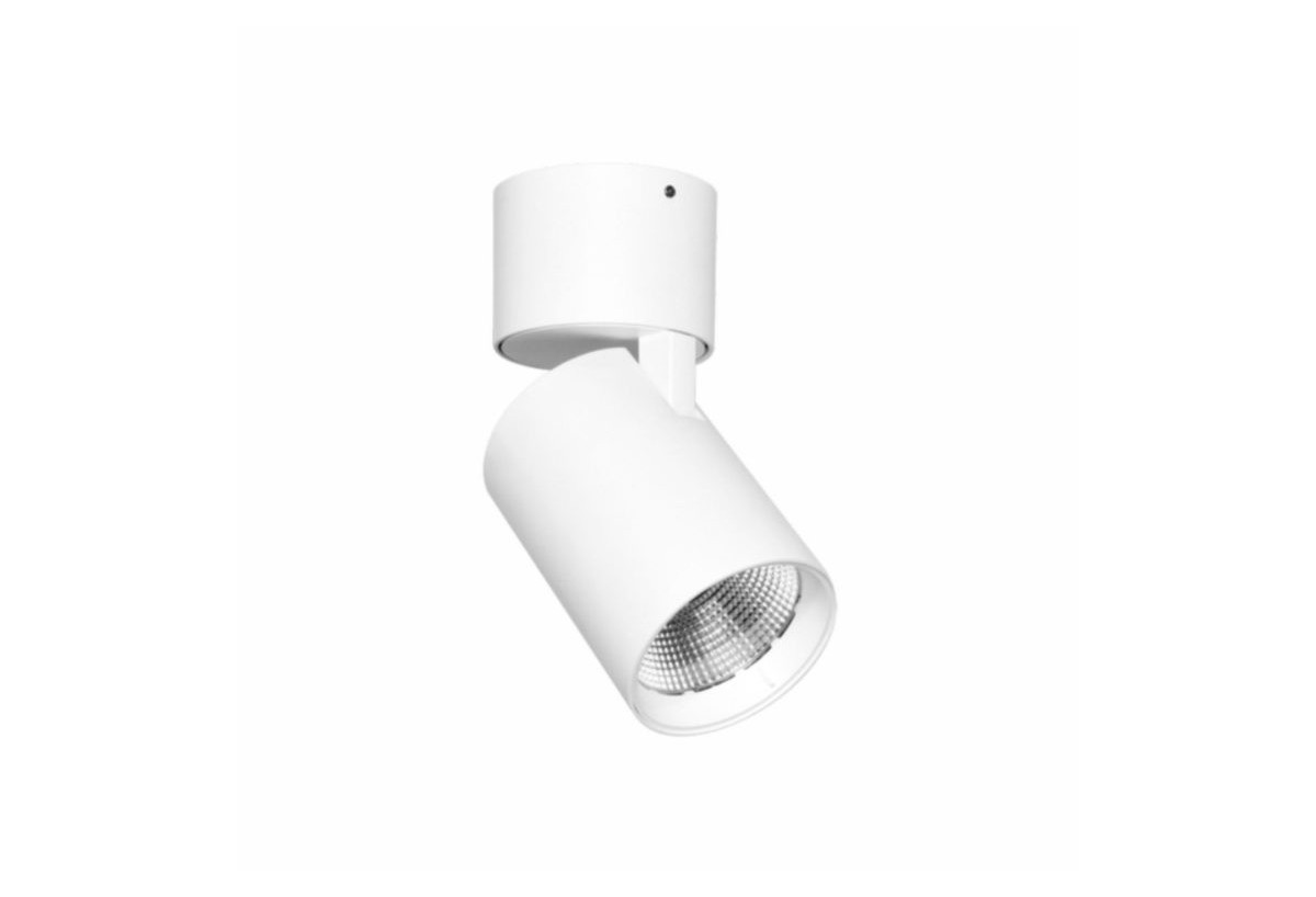 Projecteur LED NOX 30W switch - Beneito Faure