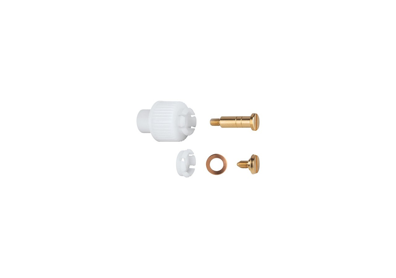 Fixation du croisillon - 47248000 - Grohe