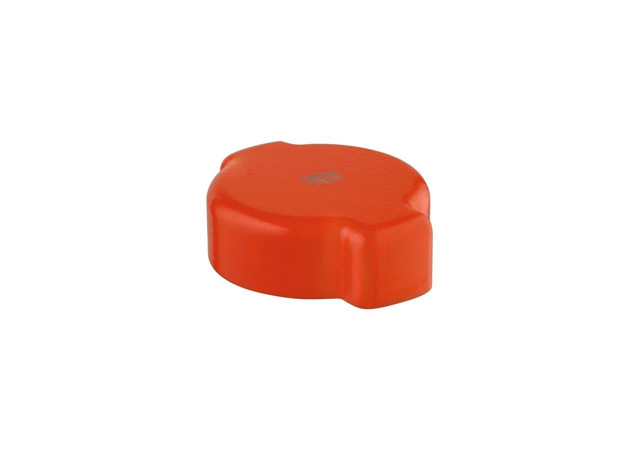 Clé pour désinfection thermique - 47764000 - Grohe