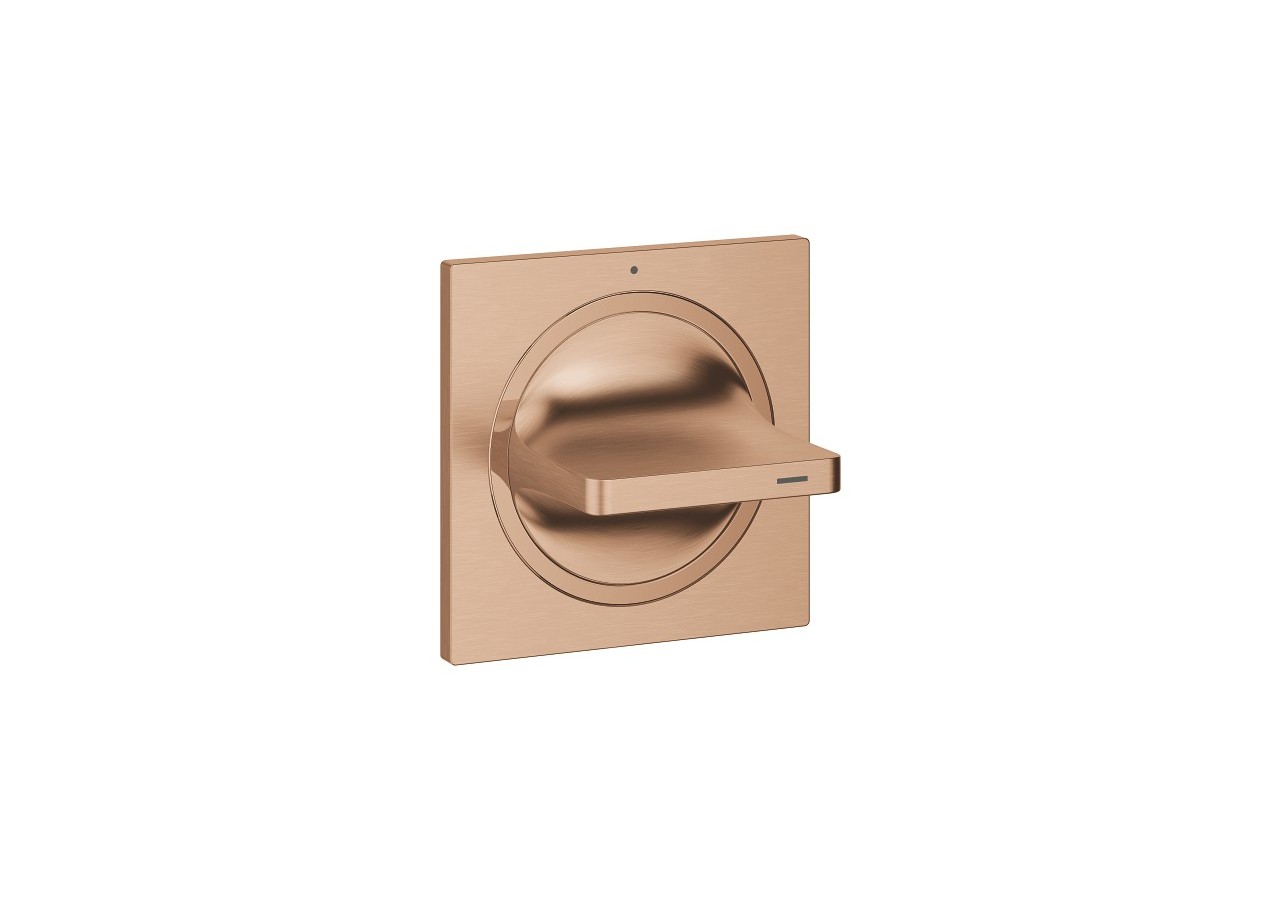 Allure façade pour robinet d'arrêt encastré Warm Sunset brossé - 19334DL1 - Grohe