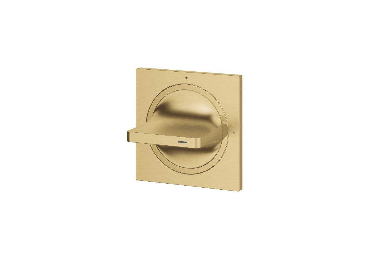 Allure façade pour robinet d'arrêt encastré Cool Sunrise brossé - 19334GN1 - Grohe