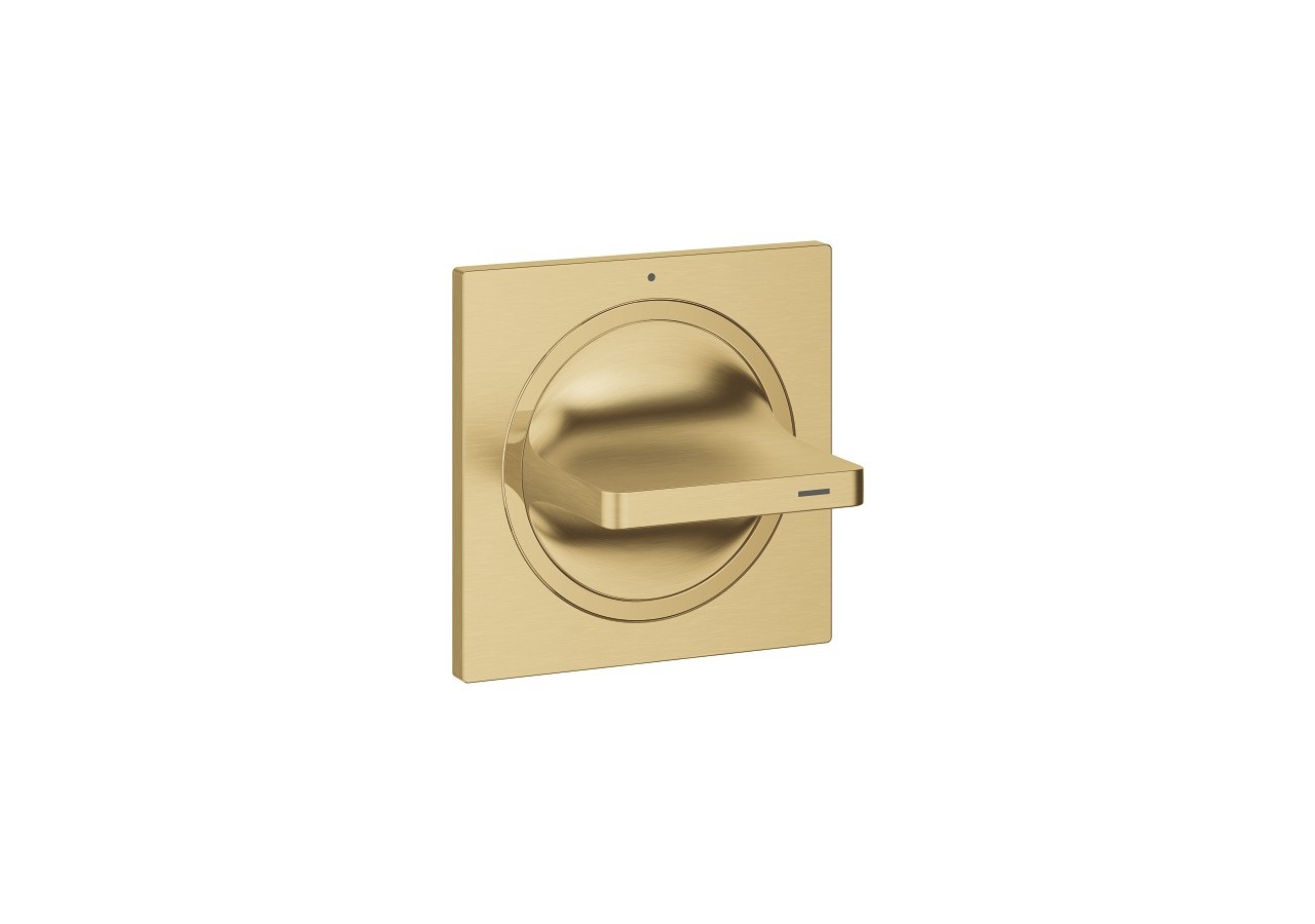 Allure façade pour robinet d'arrêt encastré Cool Sunrise brossé - 19334GN1 - Grohe