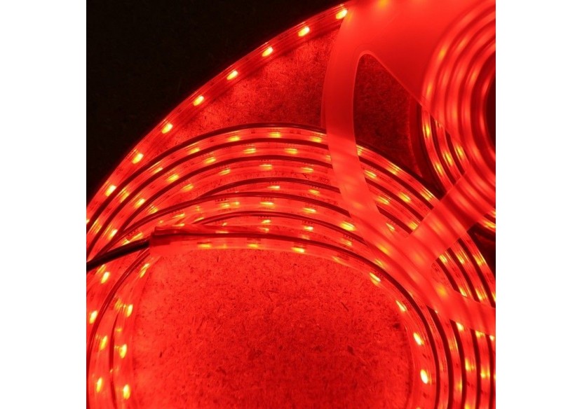 Ruban LED imperméable RGBWW 24V SMD 5050 96W IP67 5M - B1548-IP67-RGBWW - Barcelona LED