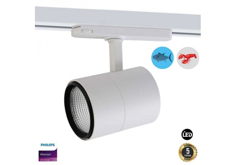 Spot LED triphasé 30W spécial poissons et fruits de mer - B00591-B-PES - Barcelona LED