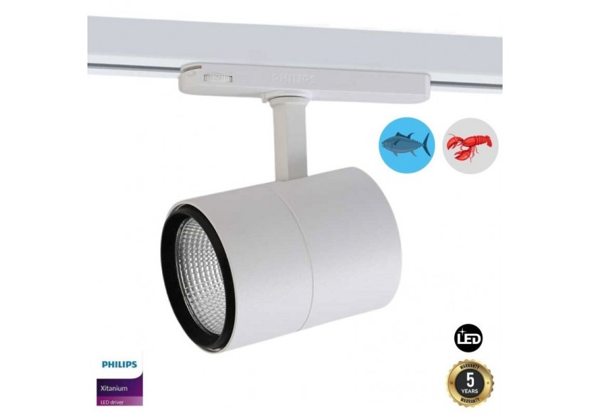 Spot LED triphasé 30W spécial poissons et fruits de mer - B00591-B-PES - Barcelona LED