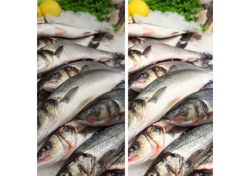 Spot LED triphasé 30W spécial poissons et fruits de mer - B00591-B-PES - Barcelona LED