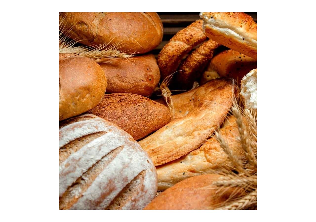 Cloche LED 36W spéciale boulangerie - B8710-B-PAN - Barcelona LED