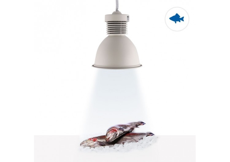Cloche LED 36W spéciale poissonnerie - B8710-B-PYM - Barcelona LED