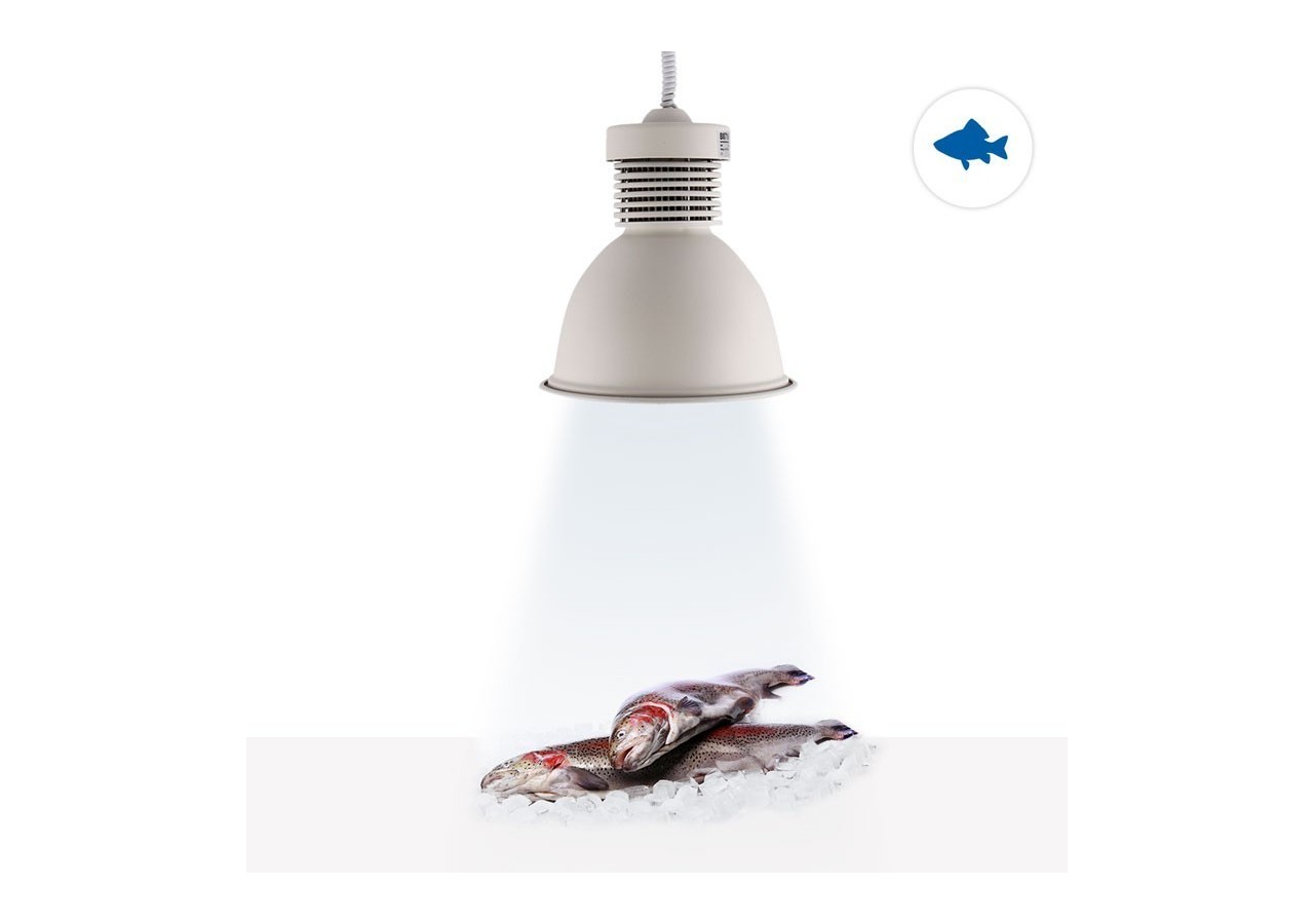 Cloche LED 36W spéciale poissonnerie - B8710-B-PYM - Barcelona LED