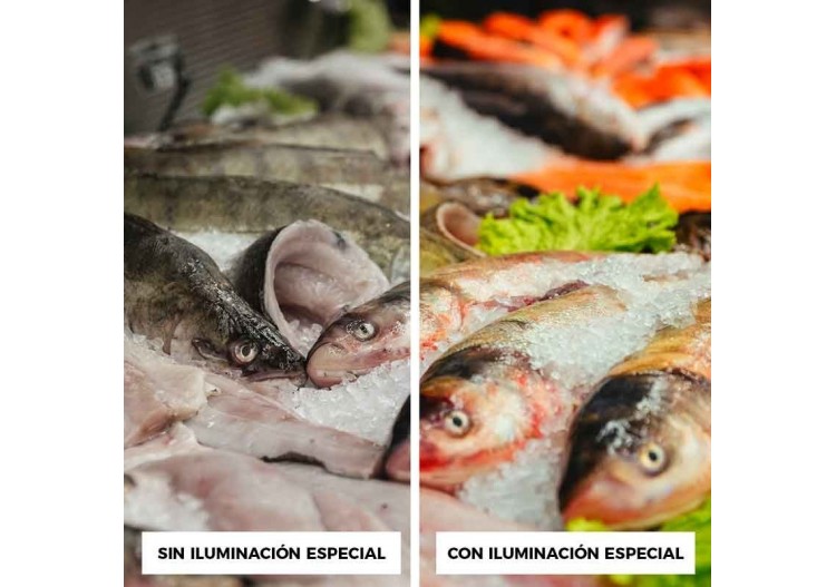 Cloche LED 36W spéciale poissonnerie - B8710-B-PYM - Barcelona LED 2