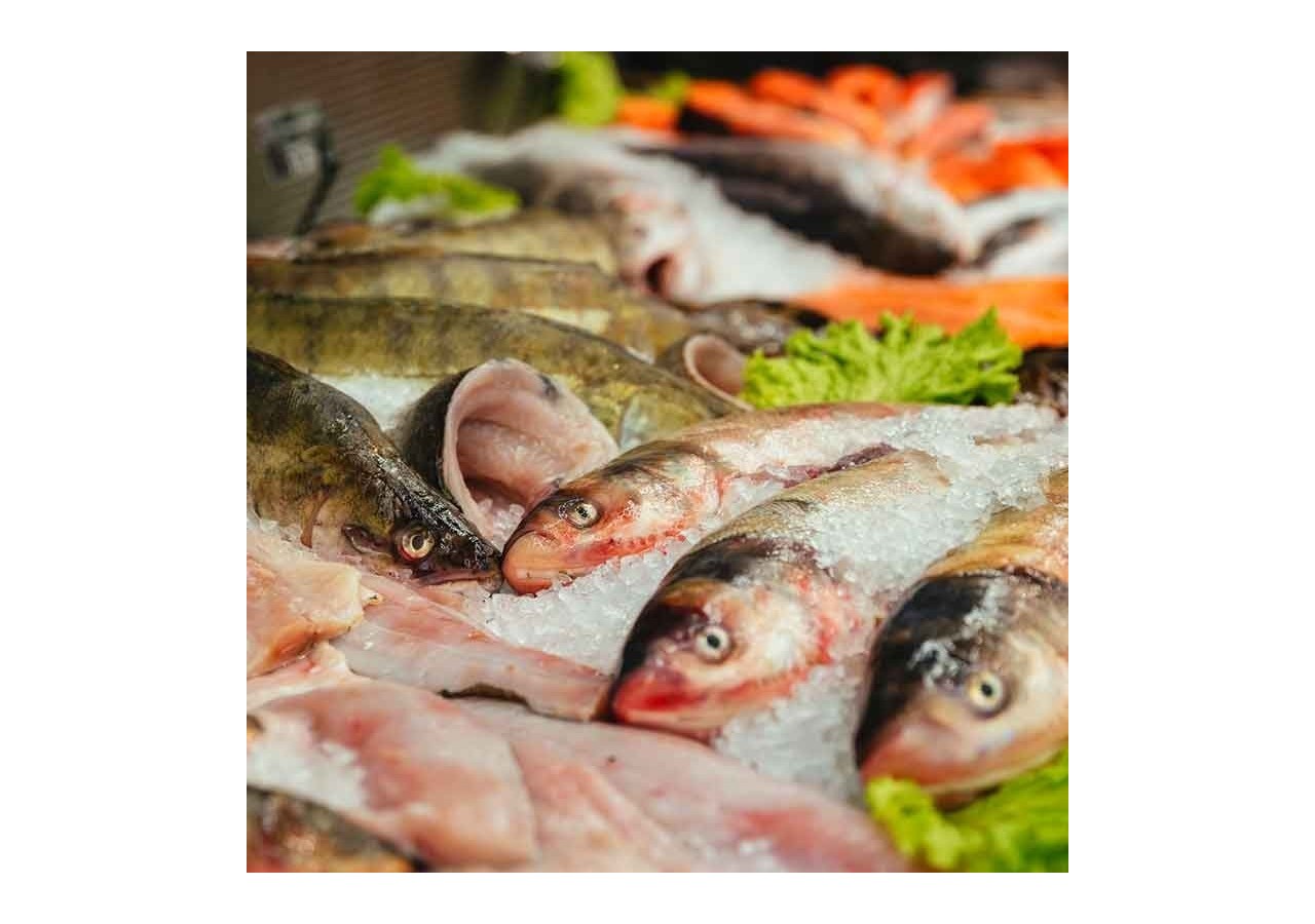 Cloche LED 36W spéciale poissonnerie - B8710-B-PYM - Barcelona LED