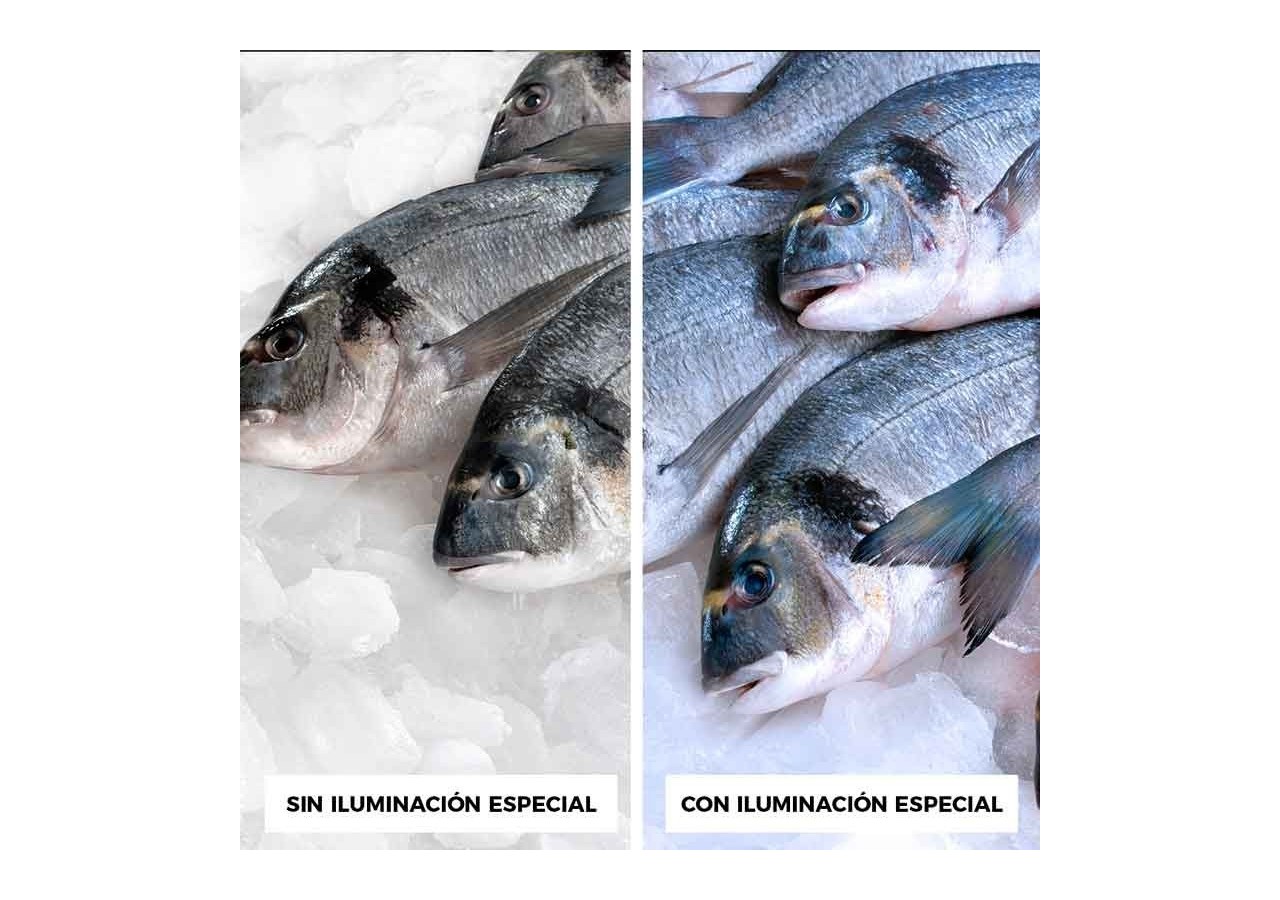 Cloche LED 36W spéciale poissonnerie - B8710-B-PYM - Barcelona LED