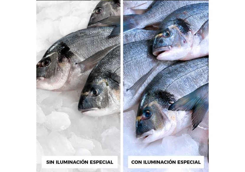 Cloche LED 36W spéciale poissonnerie - B8710-B-PYM - Barcelona LED Cloche LED 36W spéciale poissonnerie - B8710-B-PYM - Barcelona LED