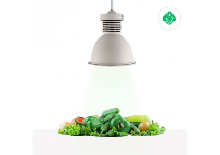 Cloche LED 36W spéciale pour les magasins de fruits et légumes - B8710-B-VER - Barcelona LED