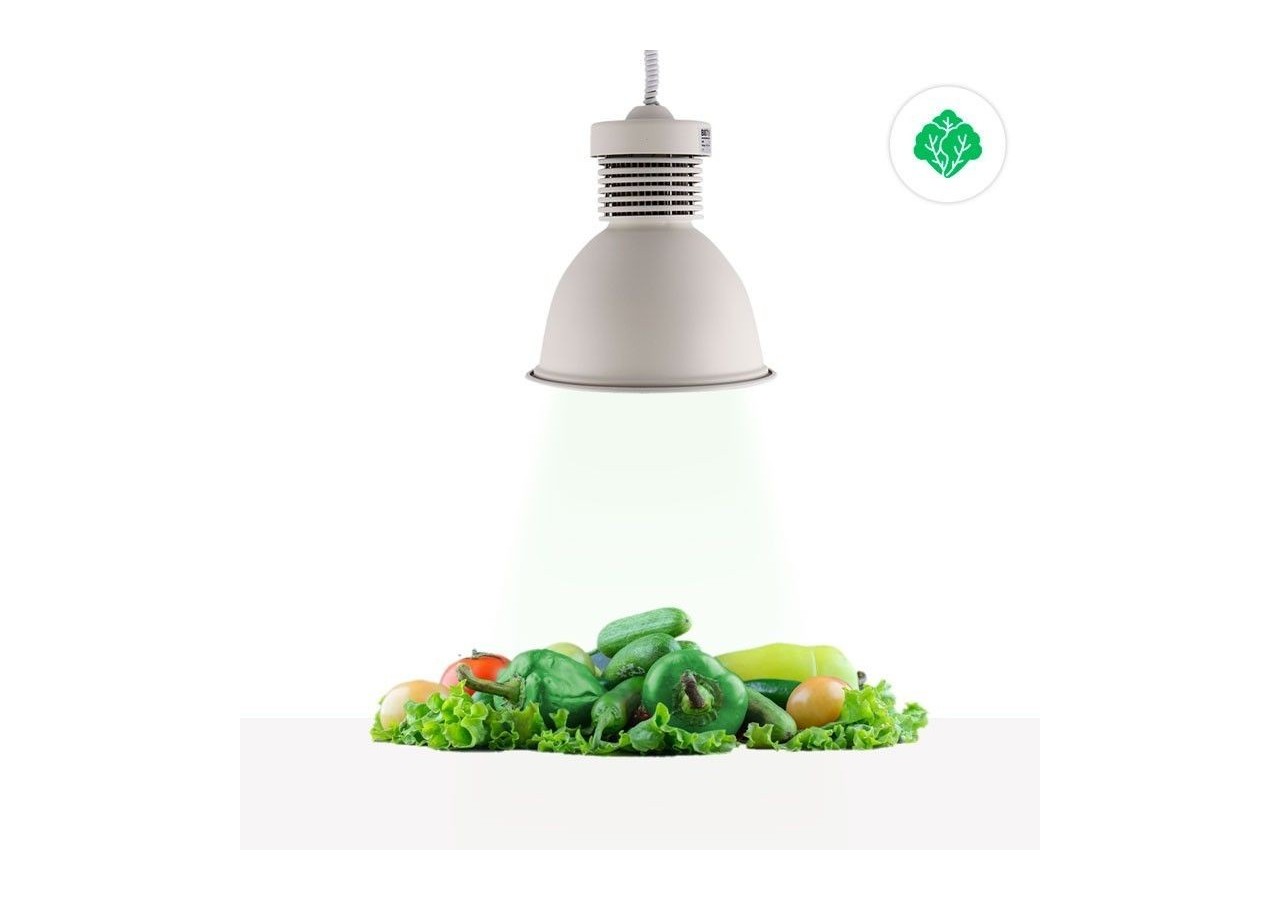 Cloche LED 36W spéciale pour les magasins de fruits et légumes - B8710-B-VER - Barcelona LED
