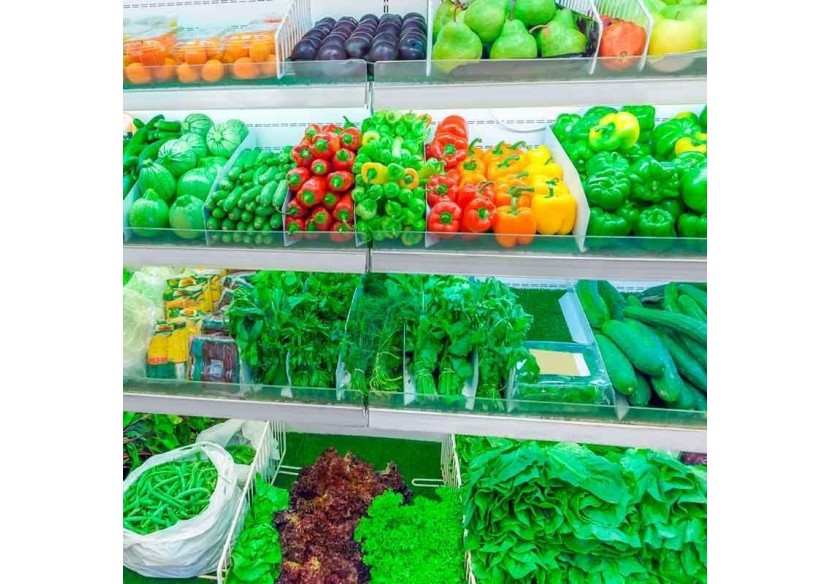 Cloche LED 36W spéciale pour les magasins de fruits et légumes - B8710-B-VER - Barcelona LED